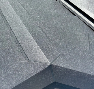 オートンイクシード