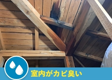 部屋の中がカビ臭い